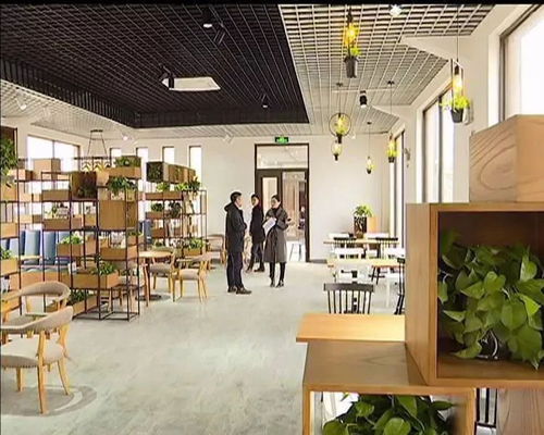 姜堰出台新政,助推特色田园乡村建设 解读二来啦