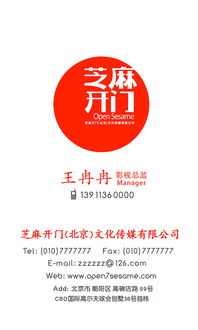 芝麻开门，北京文化传媒 马骏作品的宣传新篇